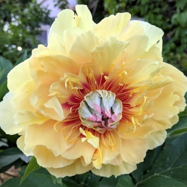 garden_treasure_25.1.12