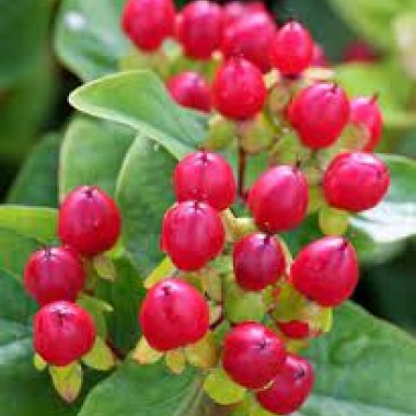 images47