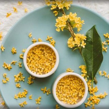 osmanthus_fragrans_3_